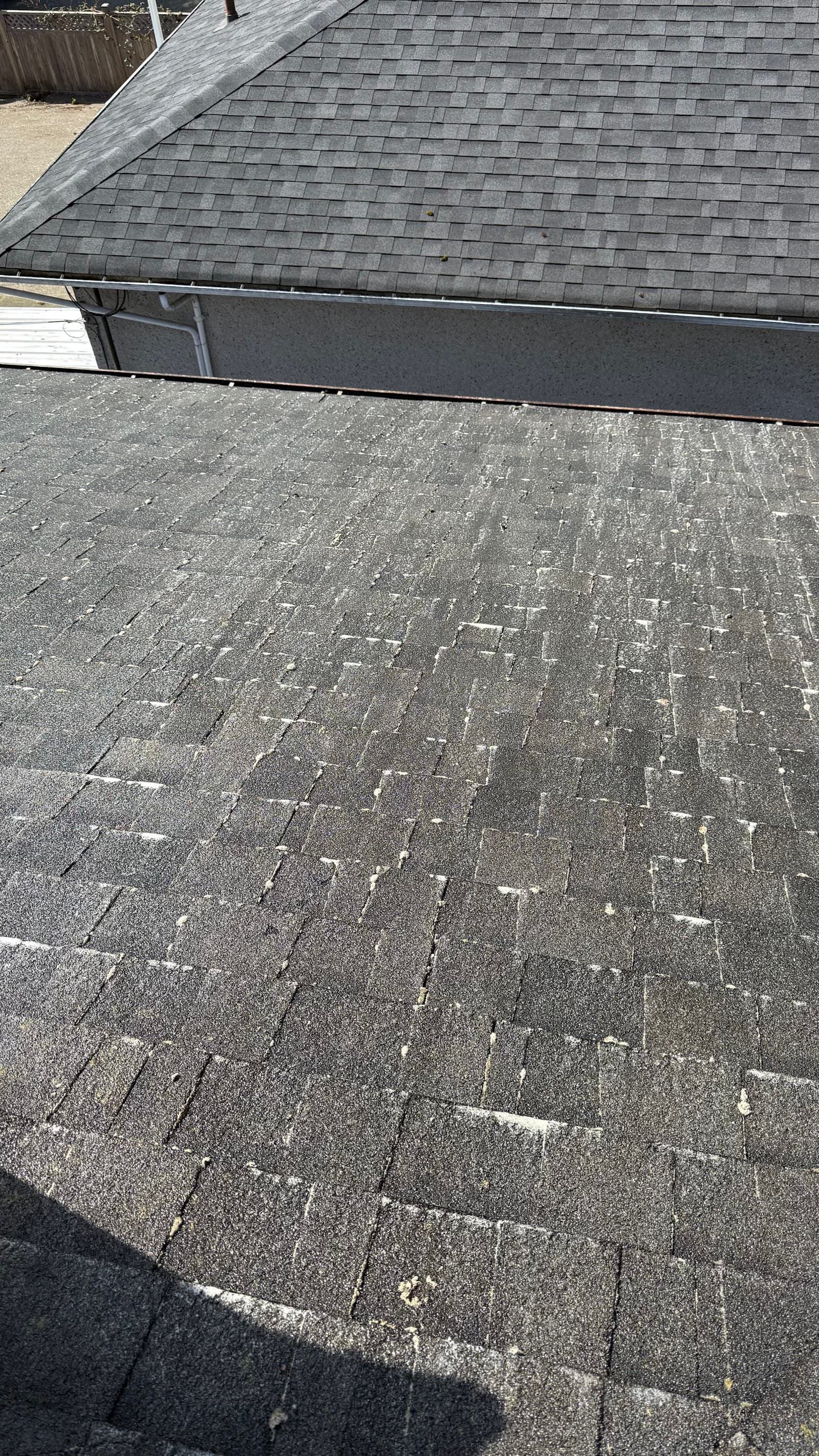 604 Gutter Cleaning & Repair, eavestrough cleaning in Burnaby, photo 3