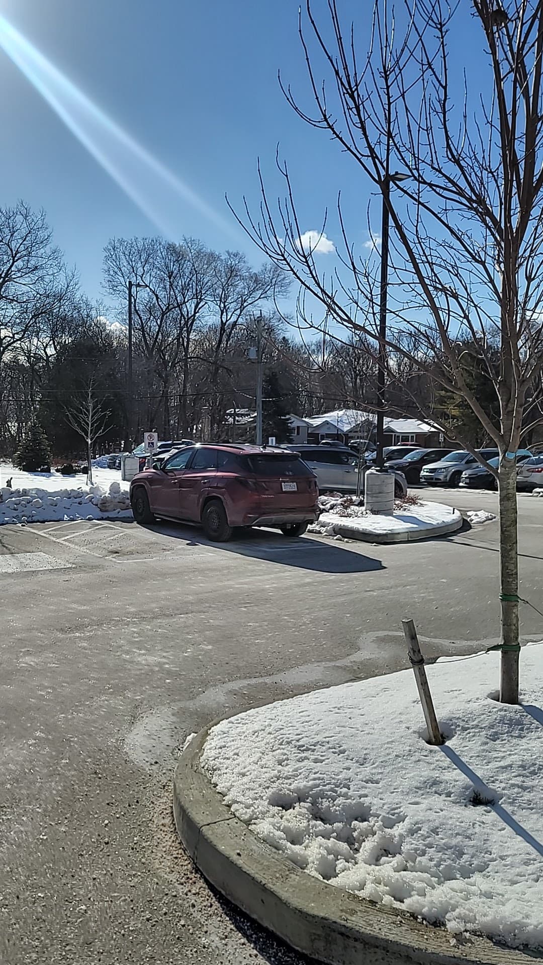 Abbeylawn Retirement Home photo 3