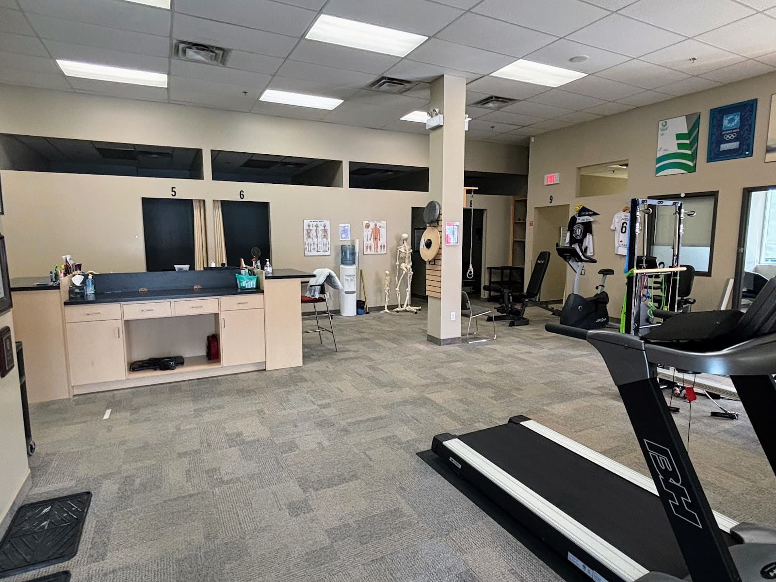ACCEL Health and Sport Performance Centre photo 2
