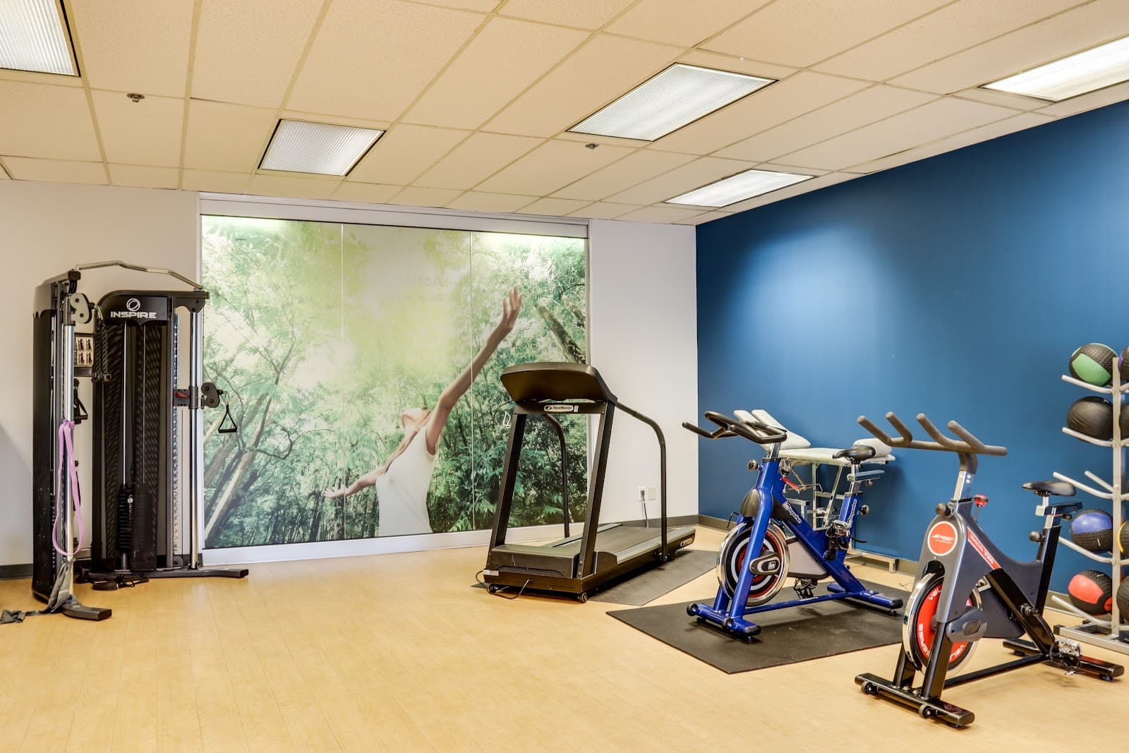 Action Sport Physio Centre-ville photo 1 of 4