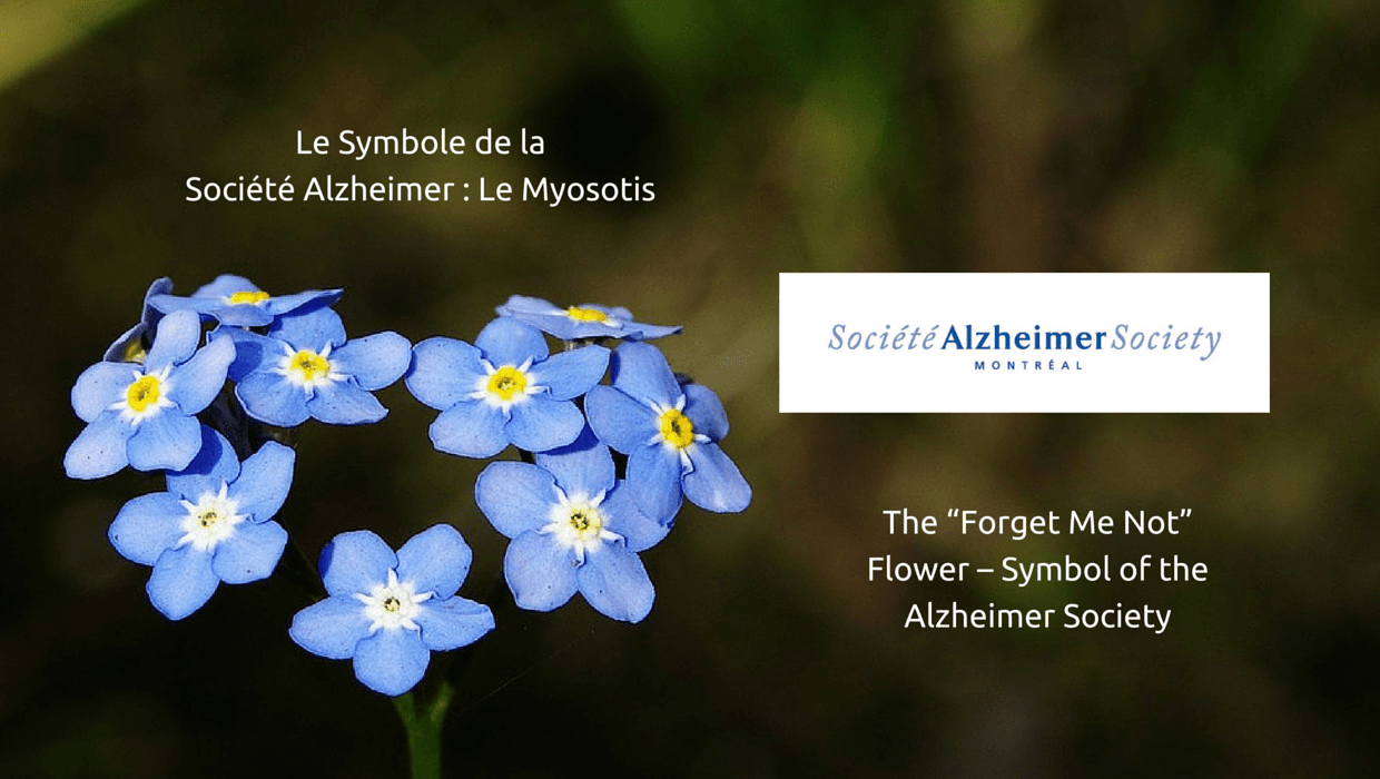 Alzheimer Society of Montreal photo 1 of 4