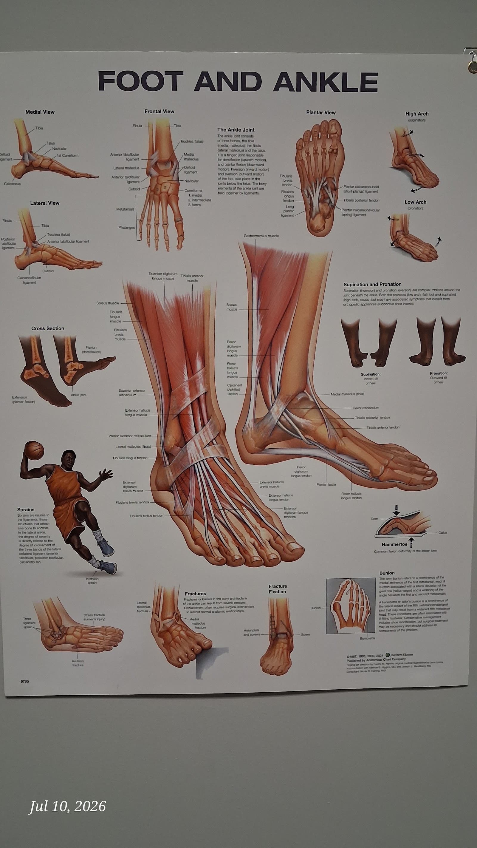Aurora Foot and Ankle Clinic, podiatry & foot care in Langley Township, photo 2