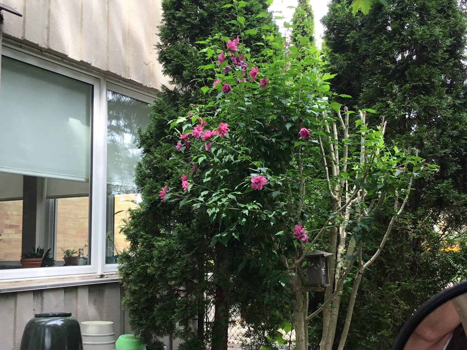Bell Lane Terrace photo 1 of 4
