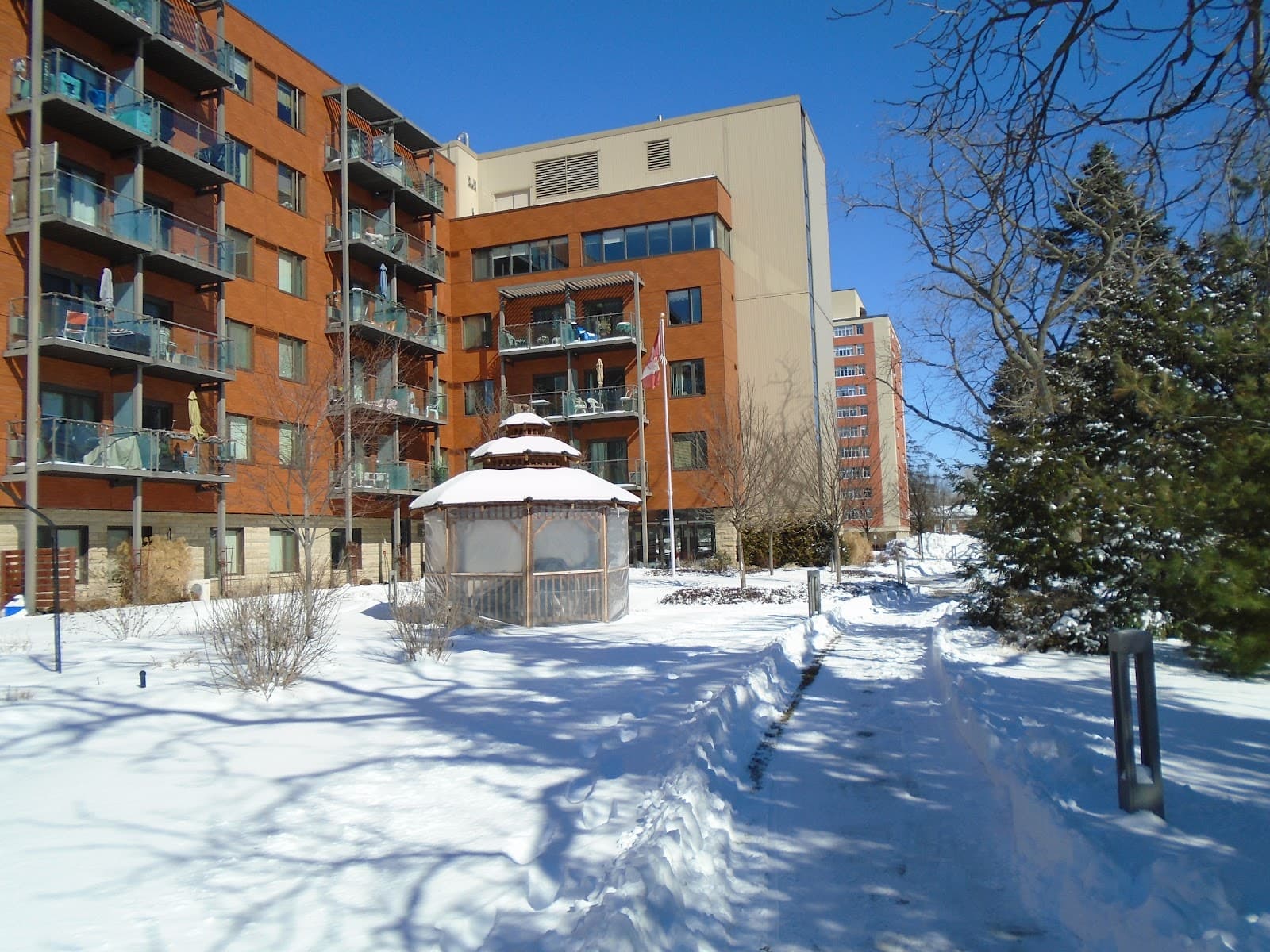 Bonnie Place photo 1