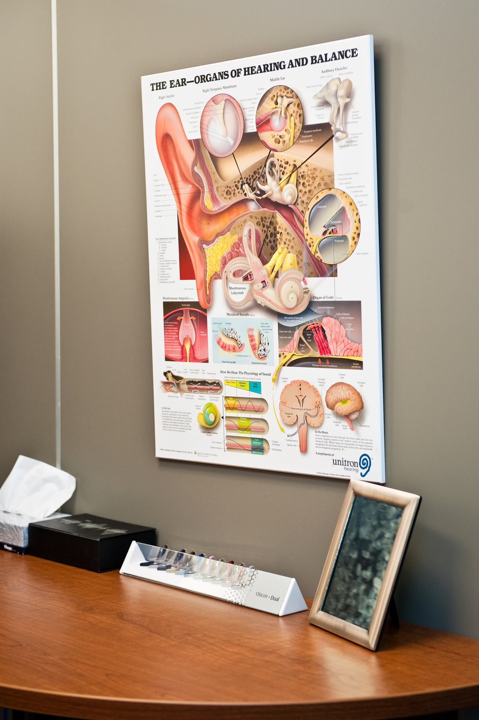 Broadmead Hearing Clinic photo 4