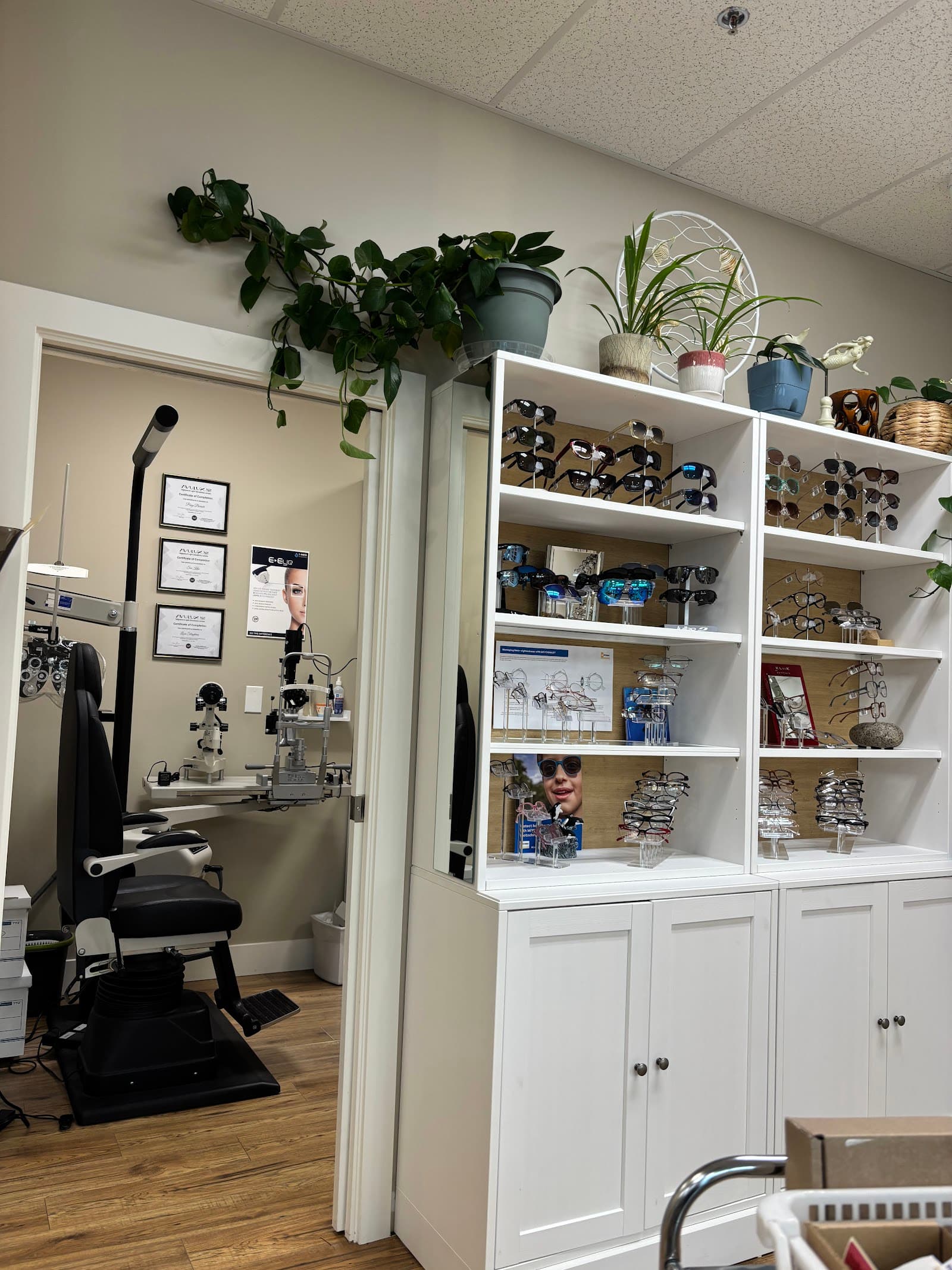 Cadboro Bay Optometry photo 2