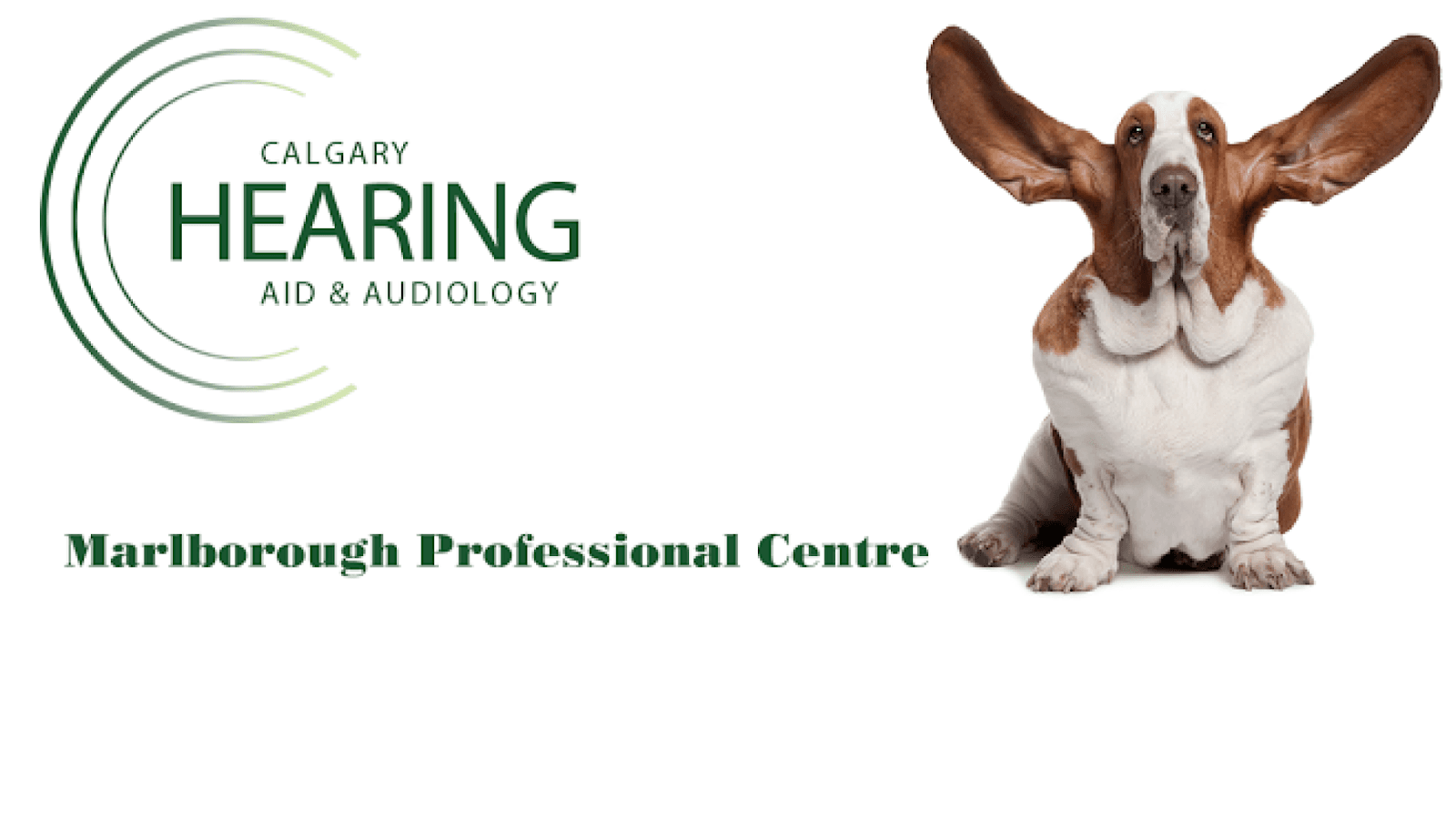 Calgary Hearing Aid & Audiology - Marlborough Mall photo 2