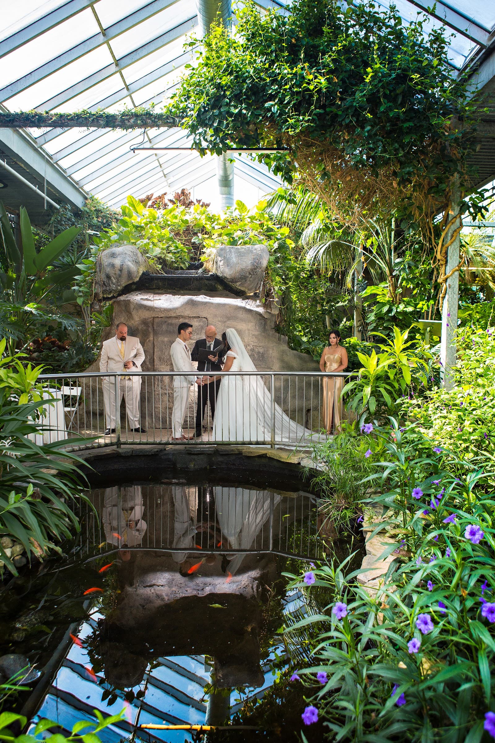 Cambridge Butterfly Conservatory photo 1