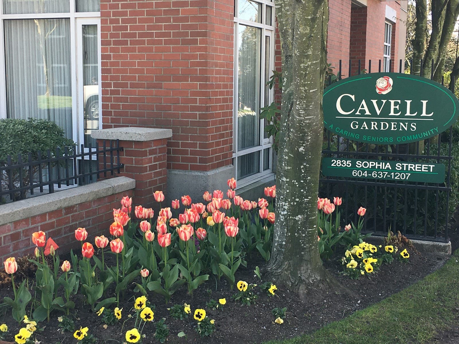 Cavell Gardens photo 2