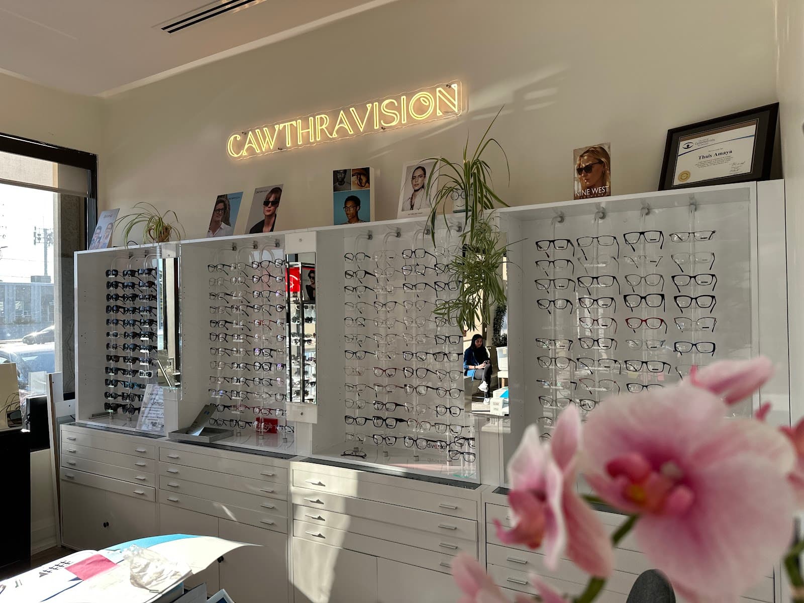 CawthraVision photo 1