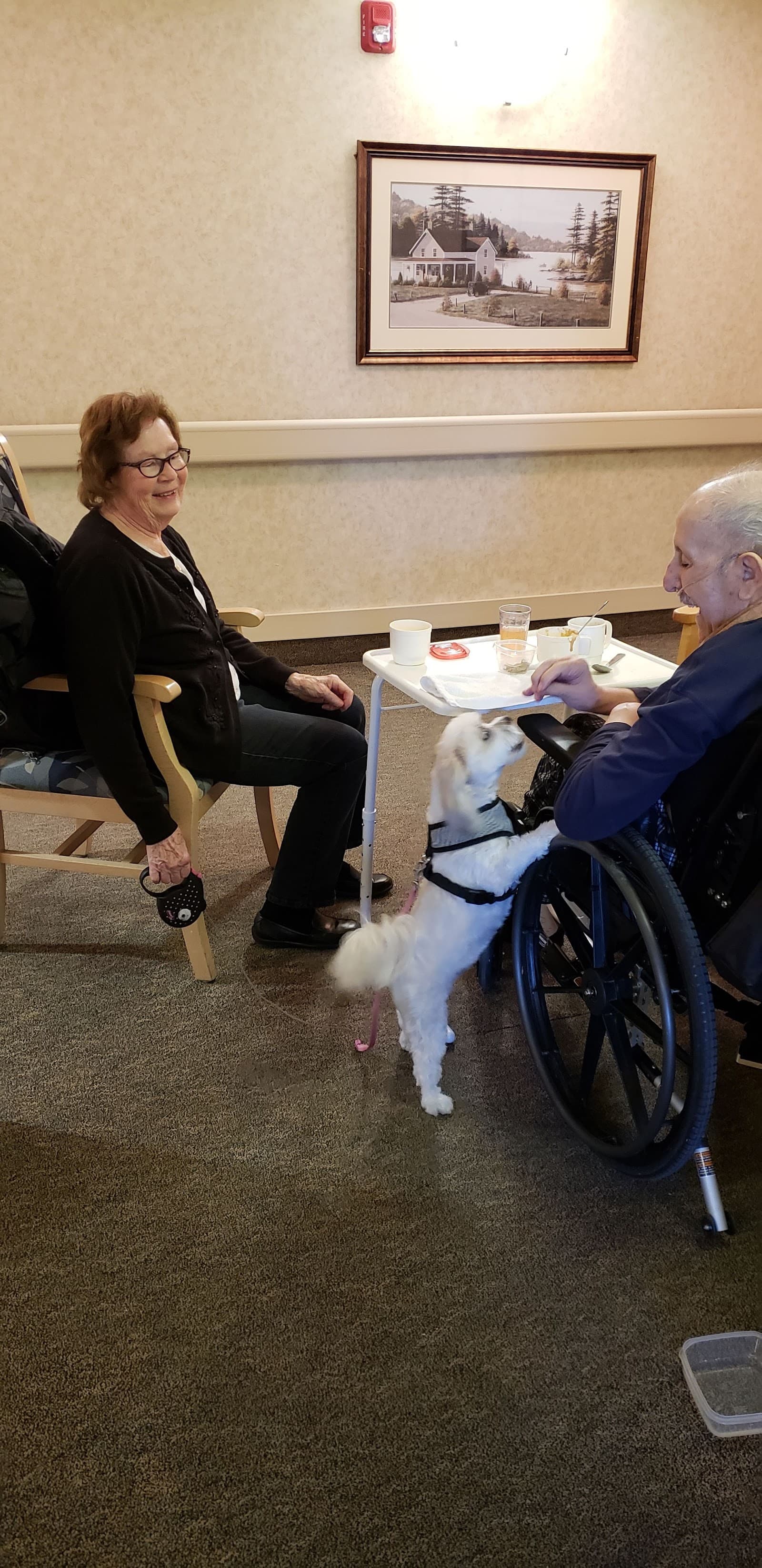 Chinook Care Centre photo 1 of 2
