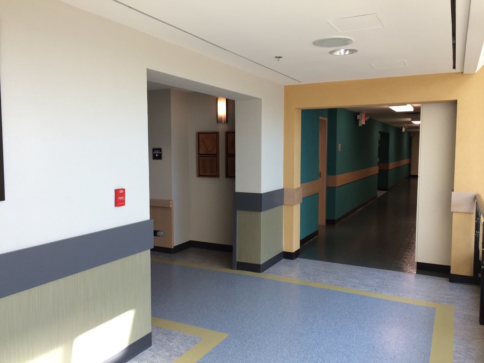 CNIB photo 3