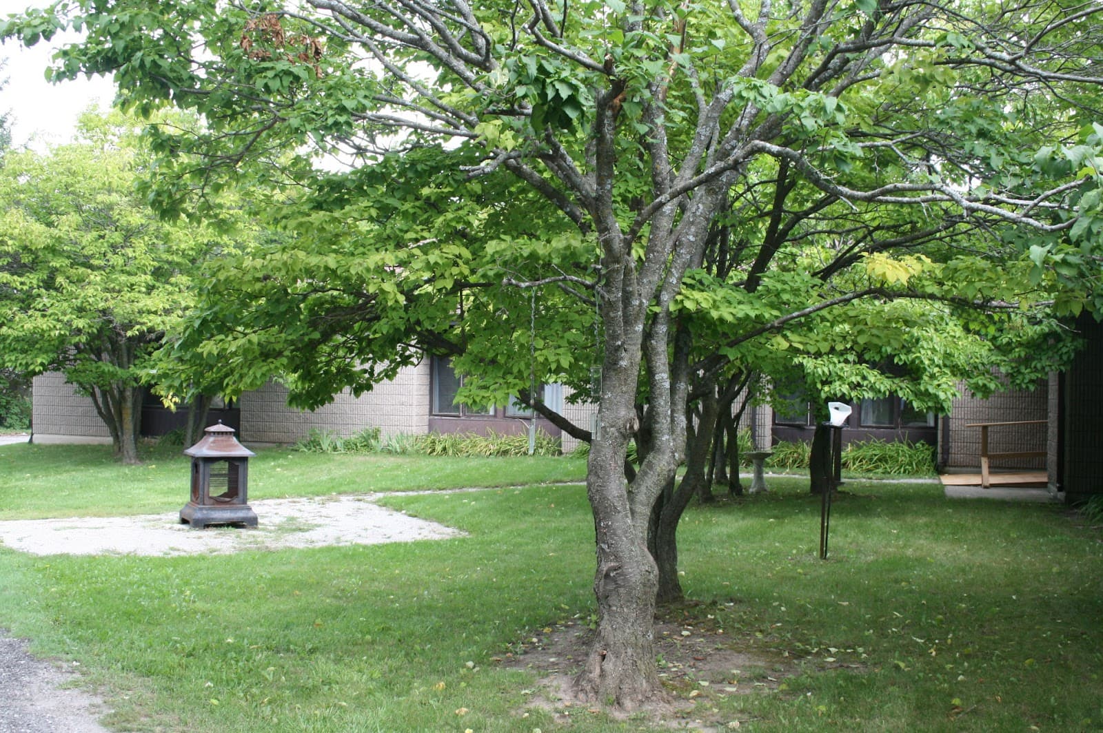 Coleman Care Centre photo 3