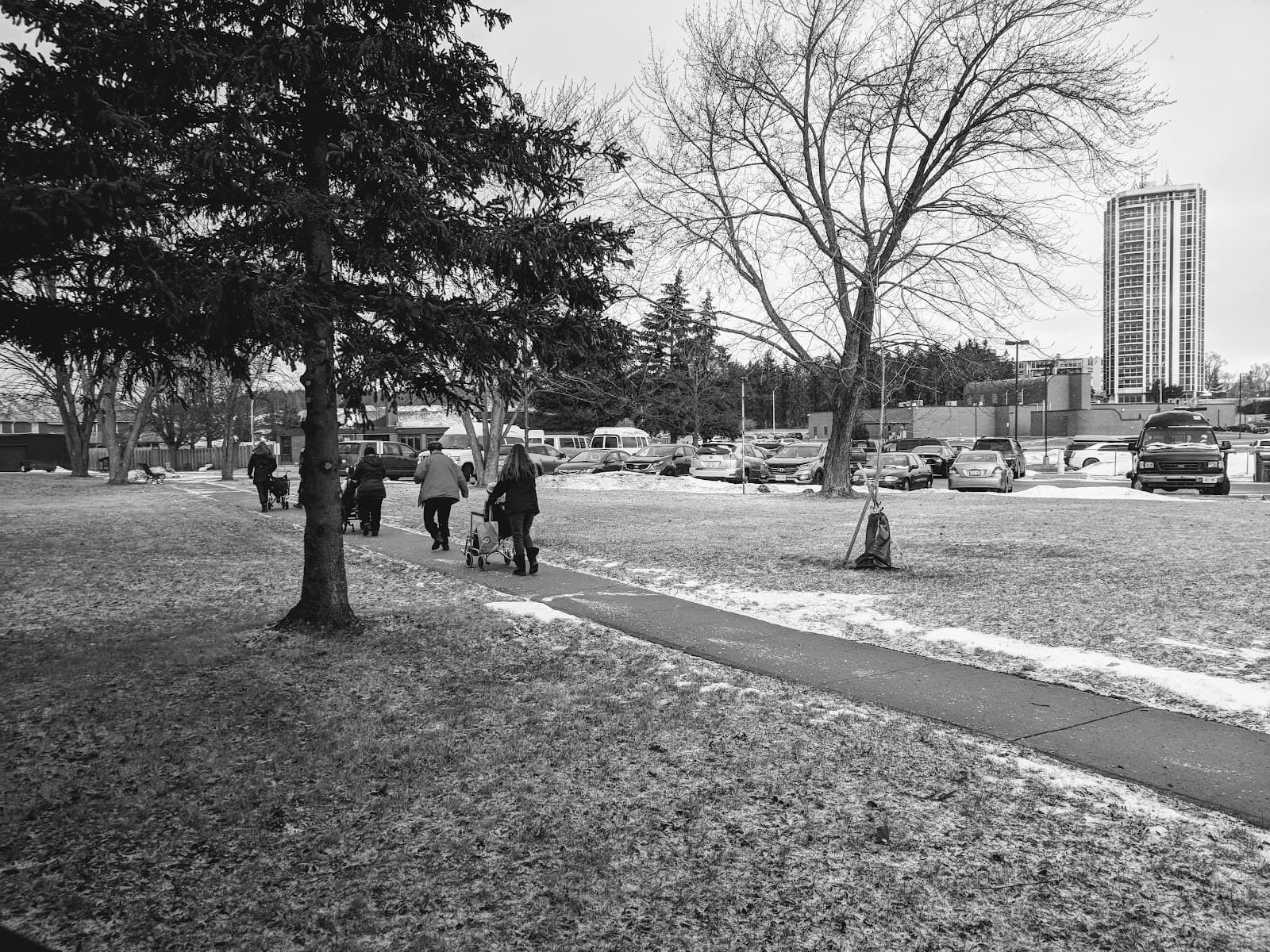 Community Living Cambridge photo 2