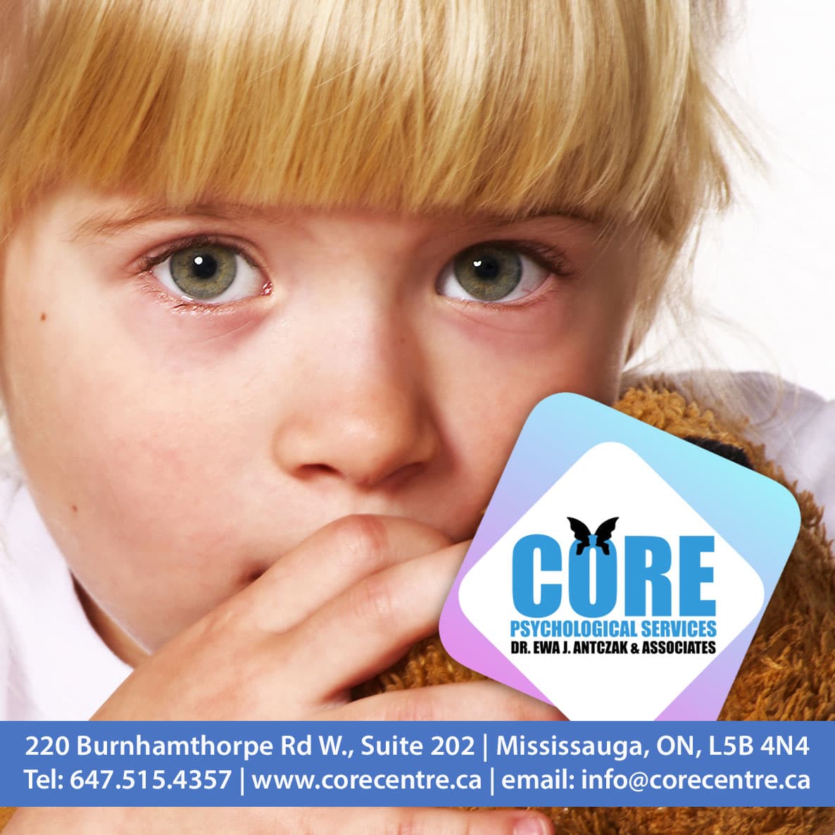 Core Centre Inc. Psychological Services photo 4