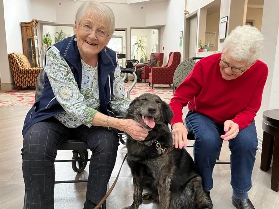DNA's Helping Hands Companion Care
