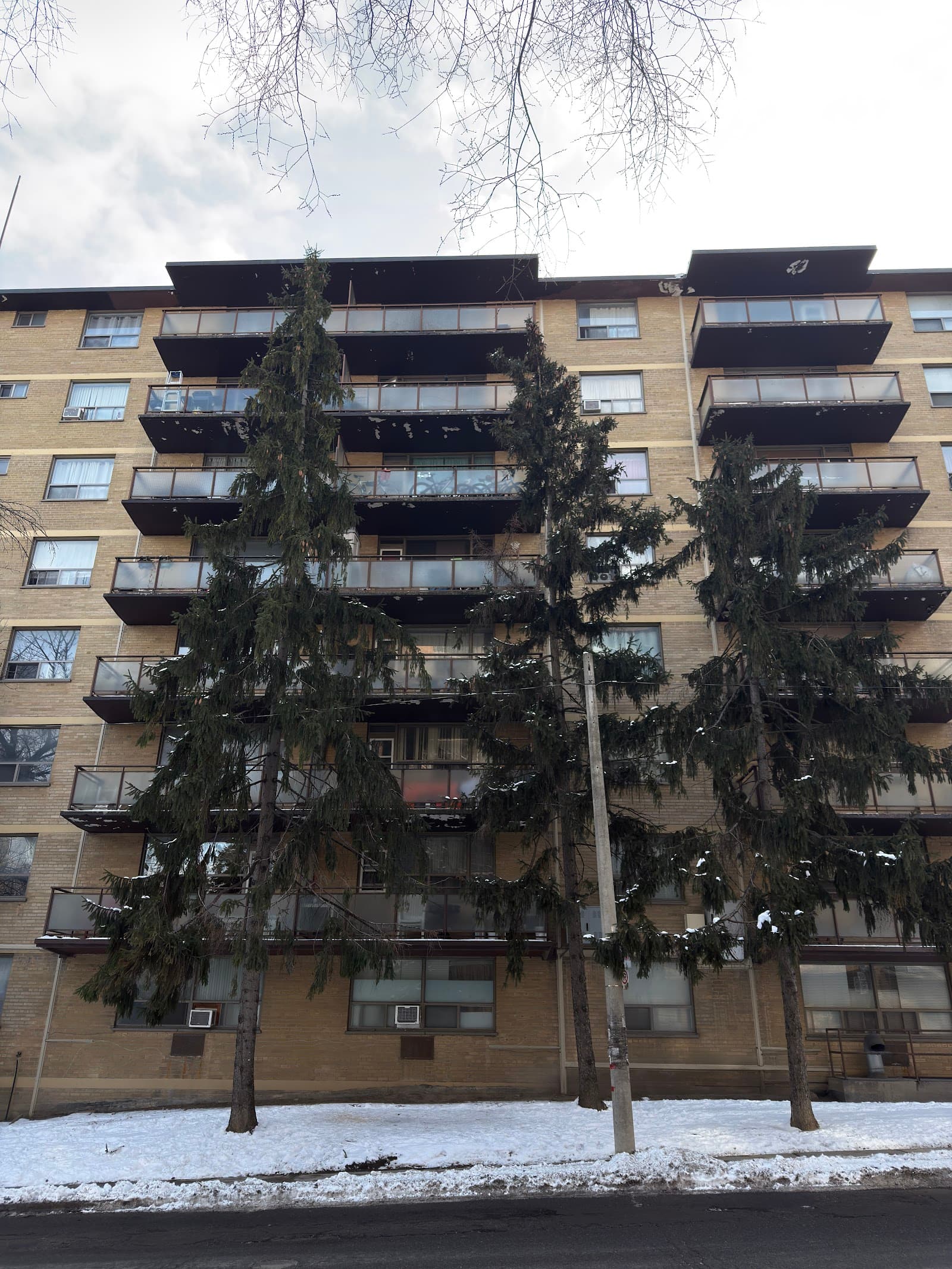 Dorothy Klein Seniors Housing Inc photo 1 of 2