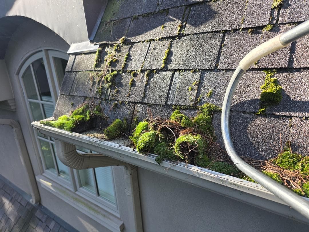 DT Cleaning Window & Eaves | Gutter Cleaning, eavestrough cleaning in Toronto, photo 2