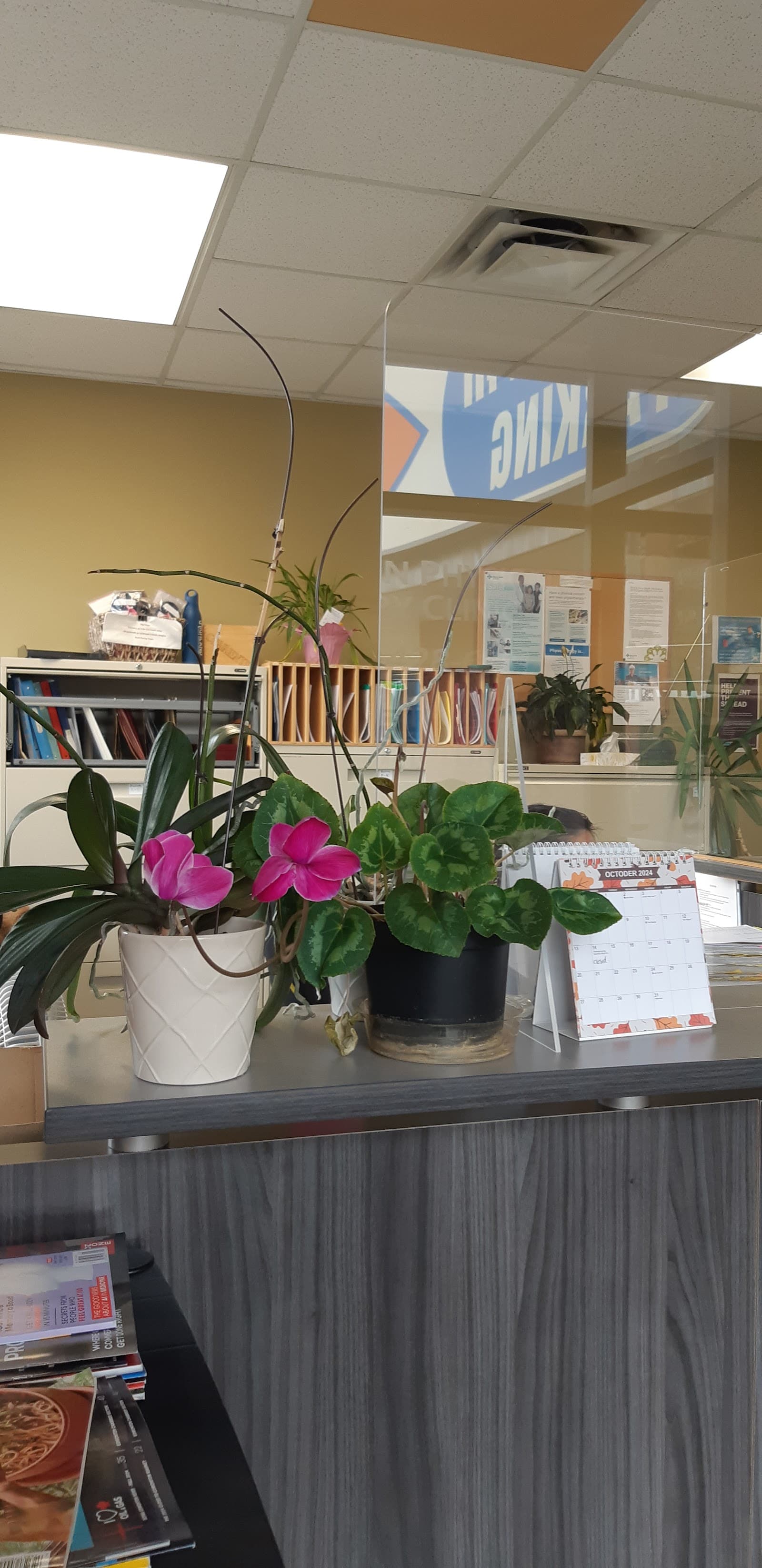 Edmonton Physical Therapy Clinic Ltd photo 3