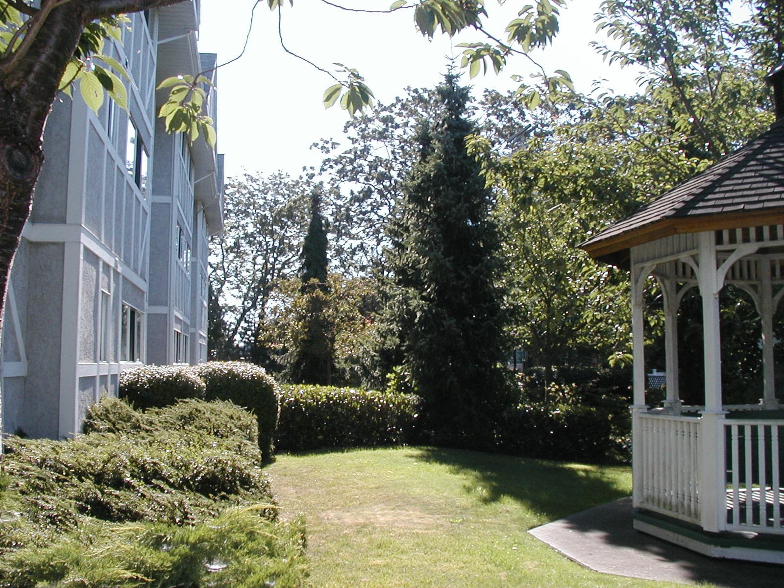 Elgin Gardens photo 2