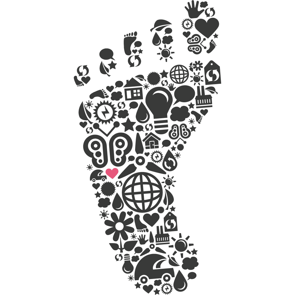 Elisa Harrison Certified Pedorthist/ Orthotics, podiatry & foot care in Milton, photo 3