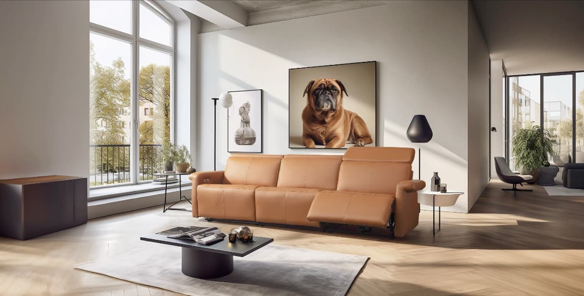 Elran Furniture