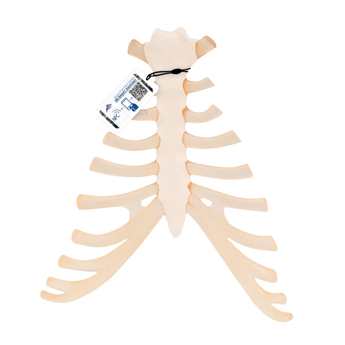 EMRN Medical Equipment photo 6