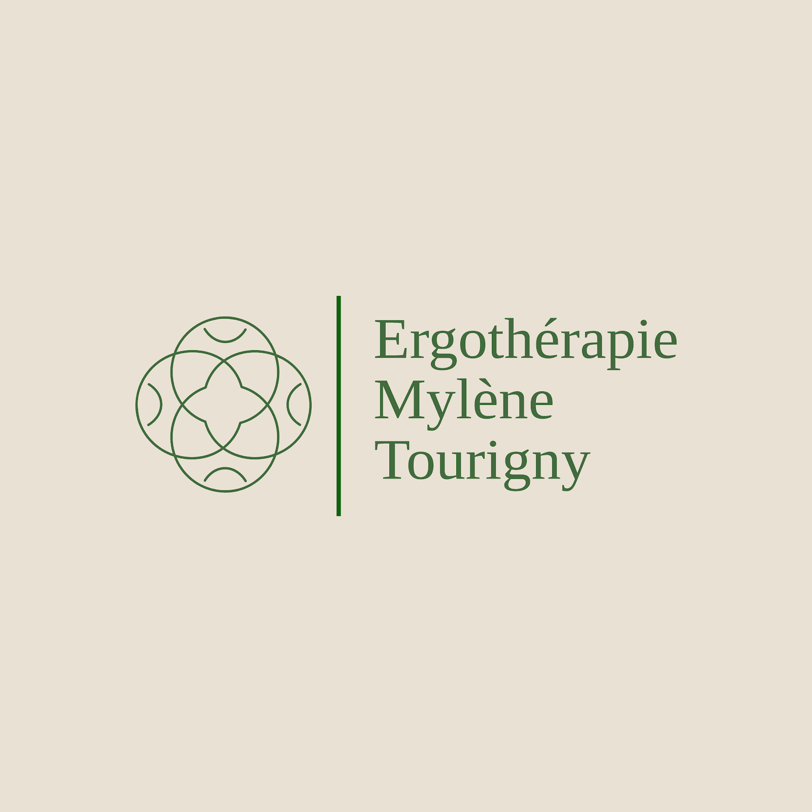 Ergothérapie Mylène Tourigny photo 3