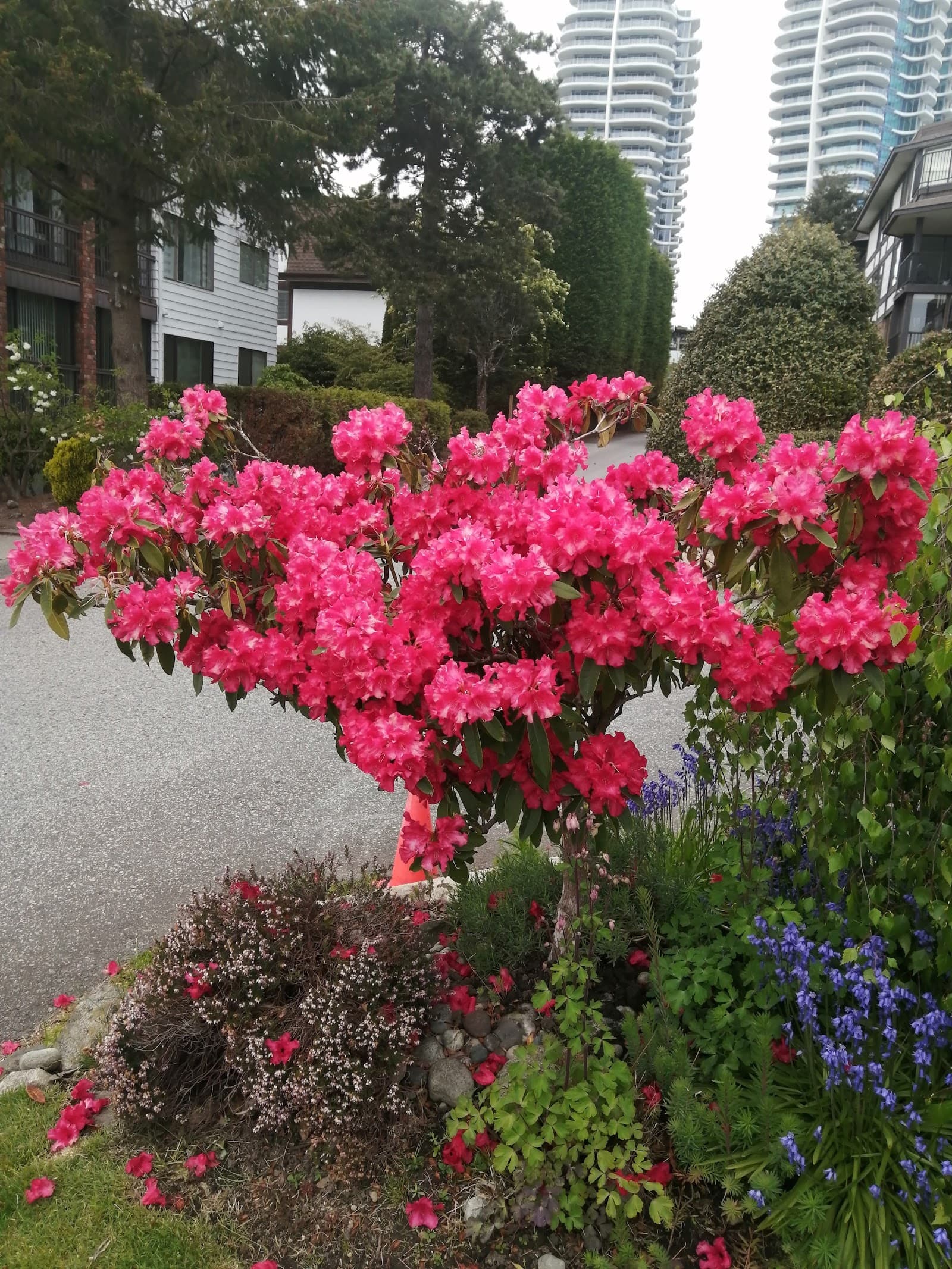 Evergreen Community photo 2