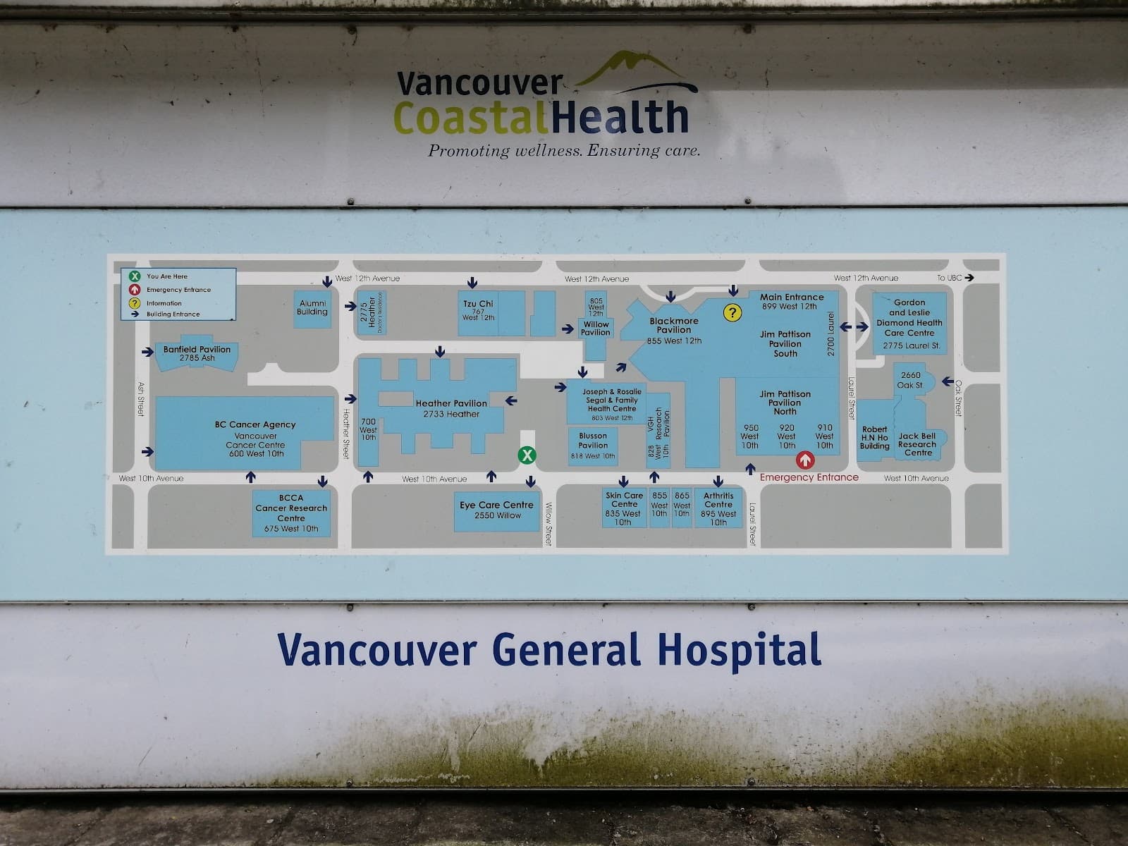 Eye Care Centre at VGH photo 4