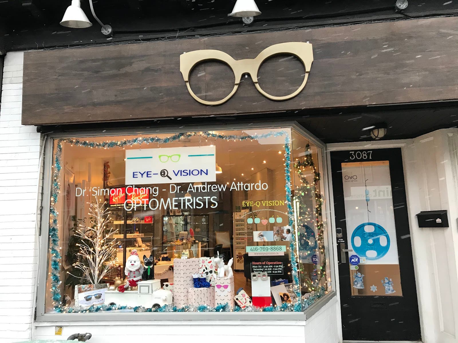 Eye-Q Vision photo 1