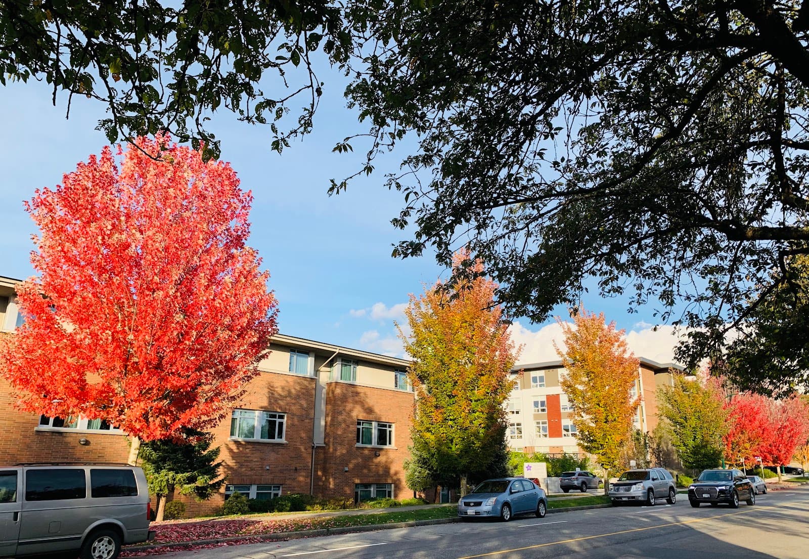 Fair Haven Homes Society Vancouver Lodge photo 2