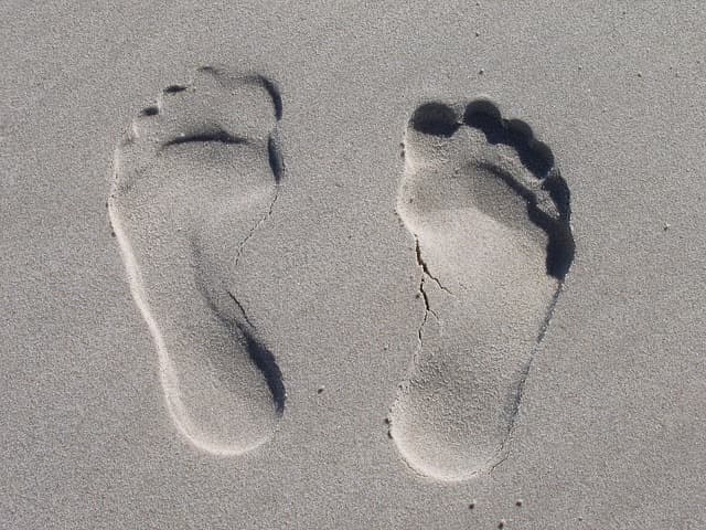 Feet In Motion Foot Care & Orthotics photo 3