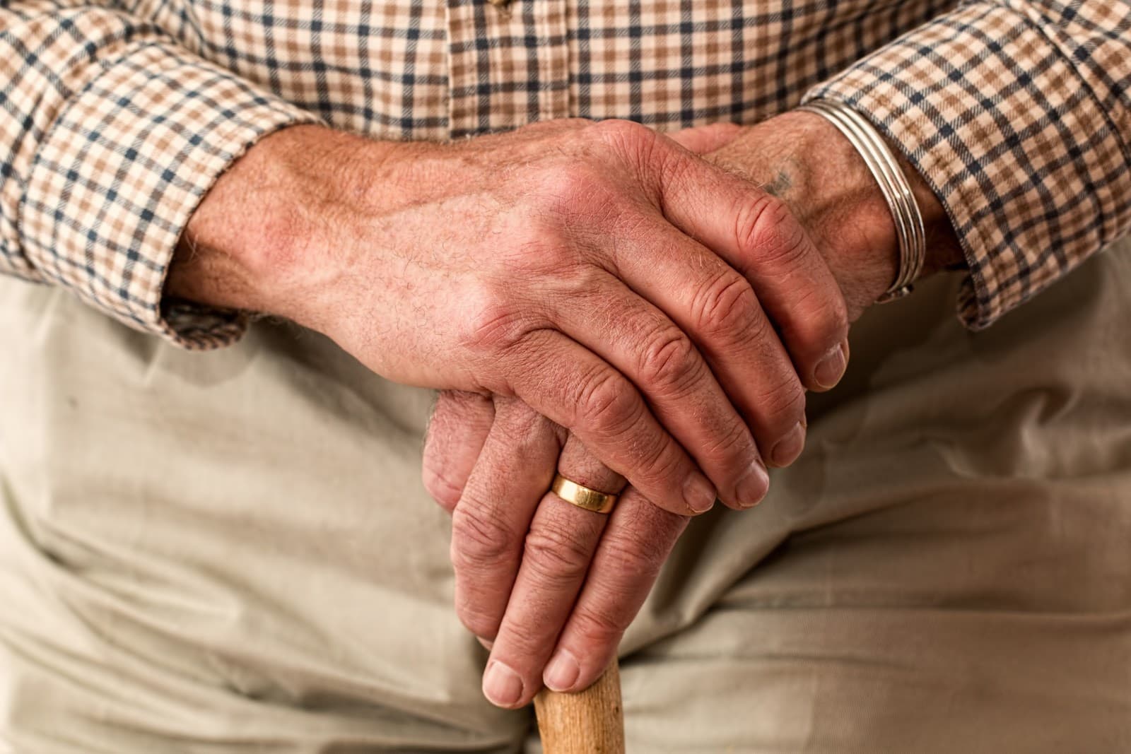 Filcare Inc. (Elderly and Home Care Support), photo 1