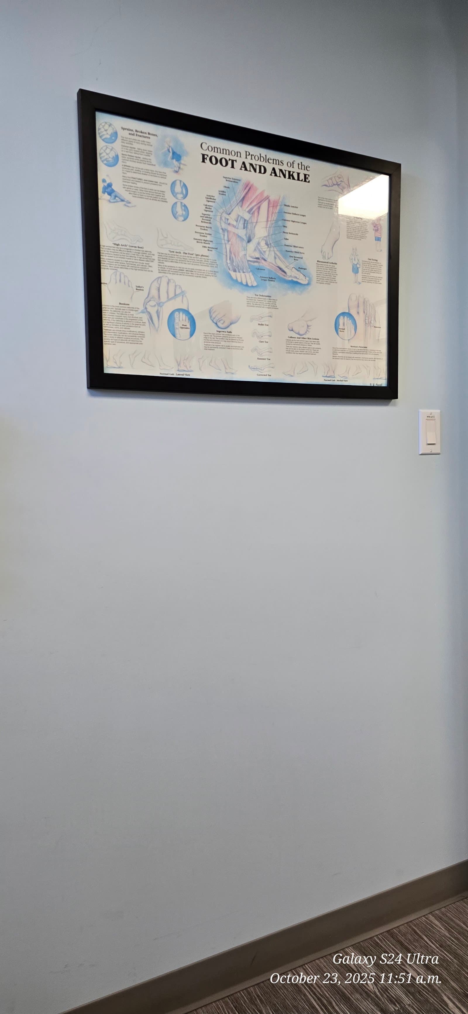 Foot And Ankle Wellness Centre photo 3