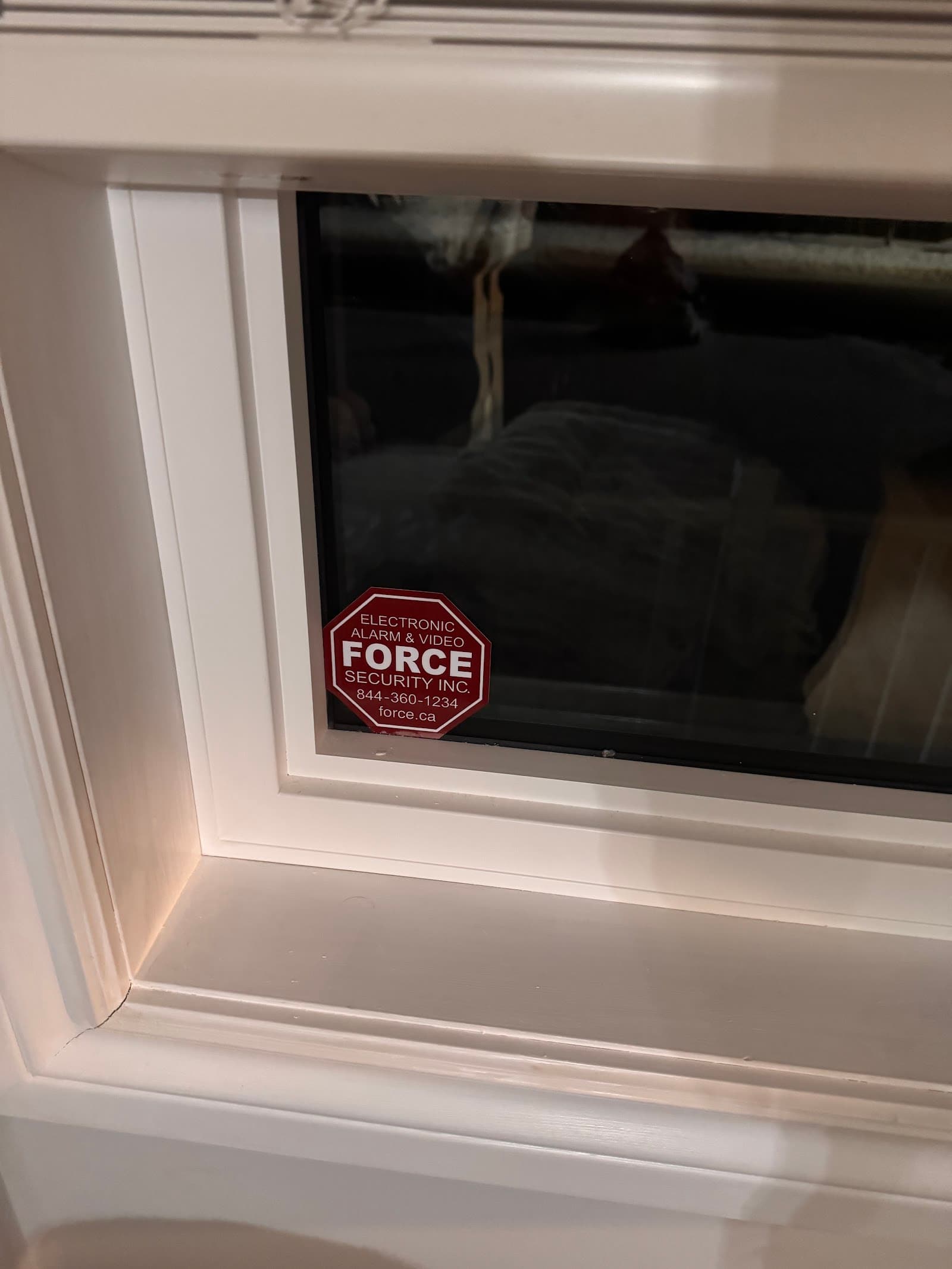 Force Security Inc photo 6