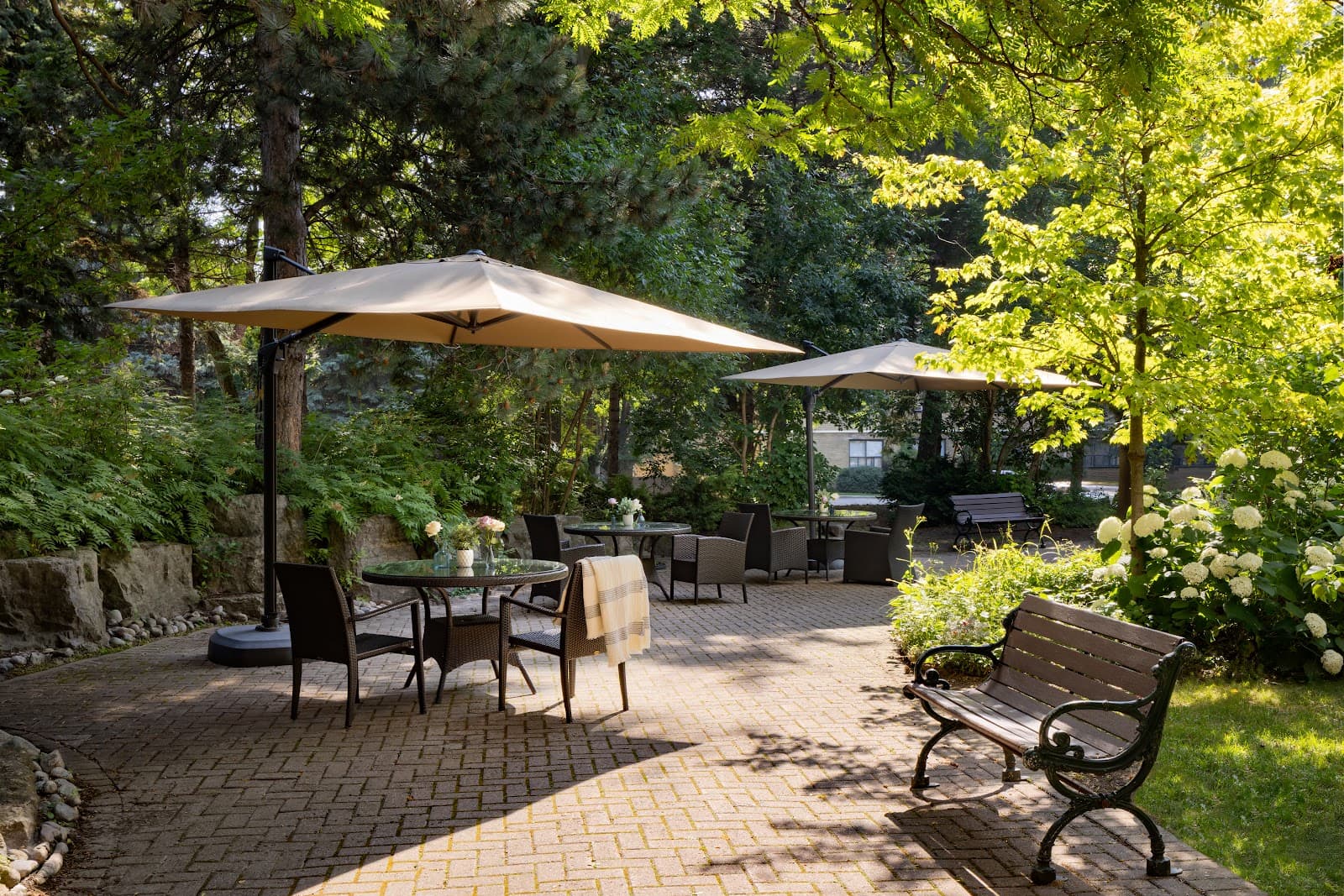 Forest Hill Place