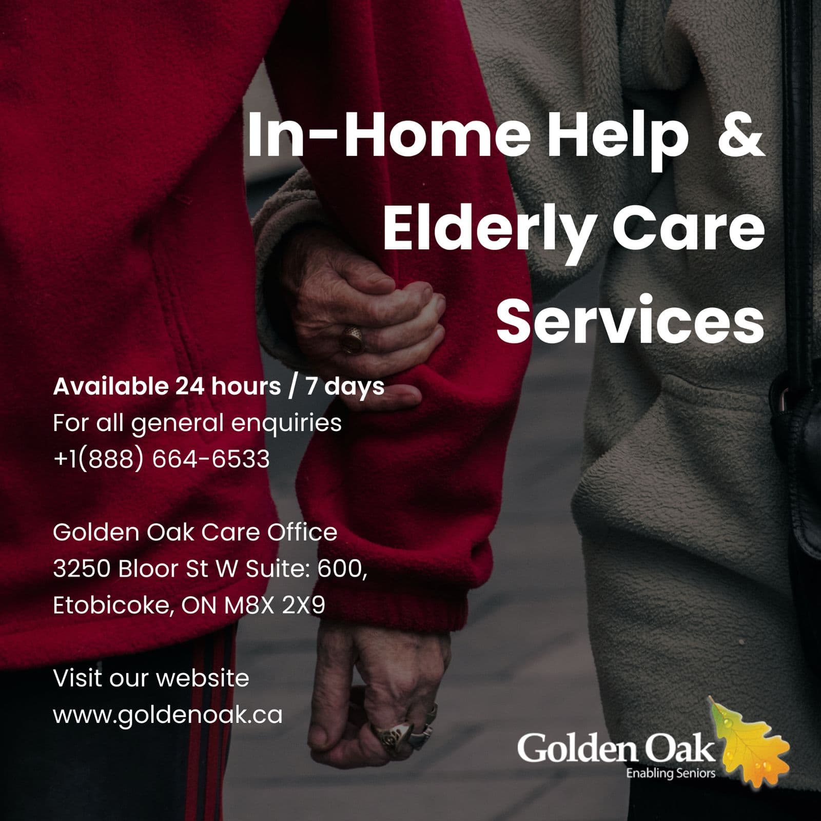 Golden Oak photo 3