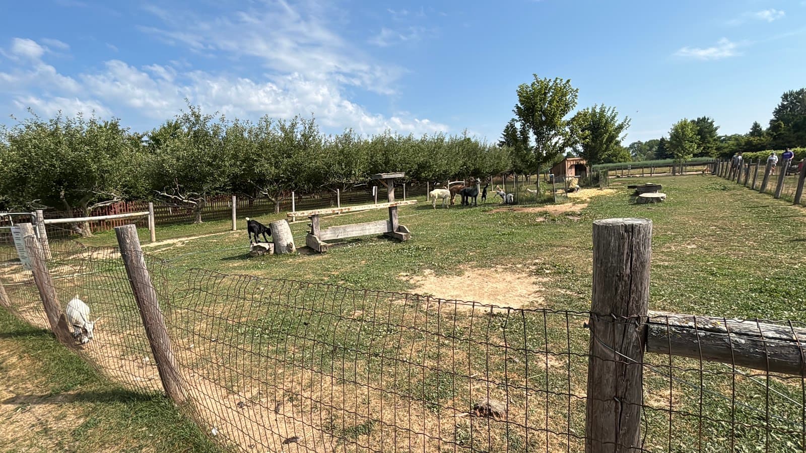 Green Care Farms photo 1