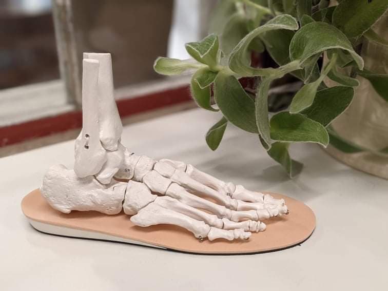 Ground Control Orthotics (Quinpool Rd.) photo 1