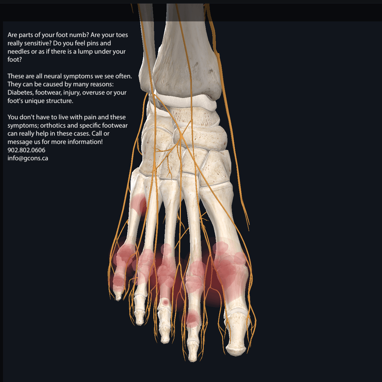Ground Control Orthotics (Quinpool Rd.) photo 6
