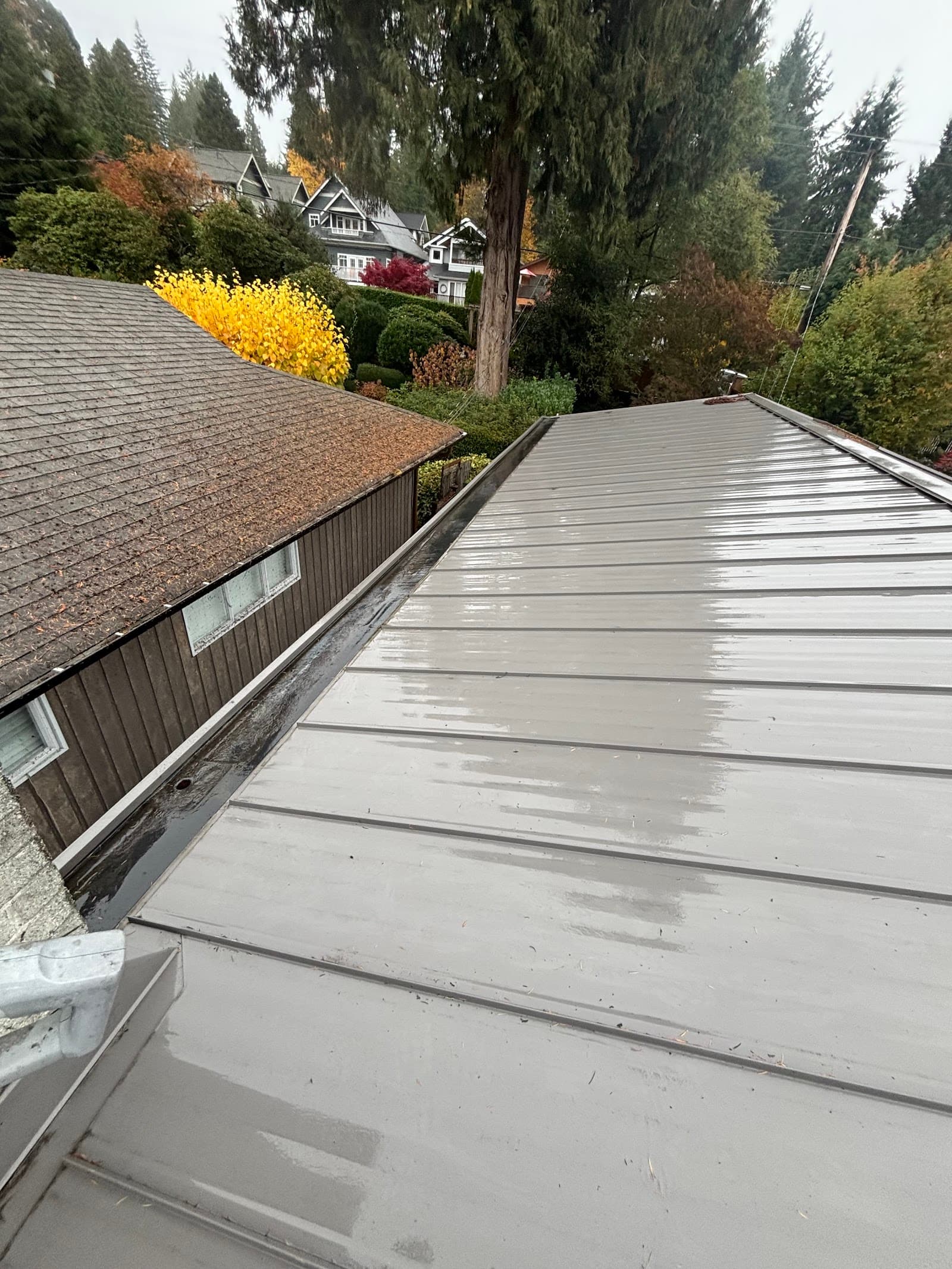 Gutter-Vac Home Services, eavestrough cleaning in Vancouver, photo 2