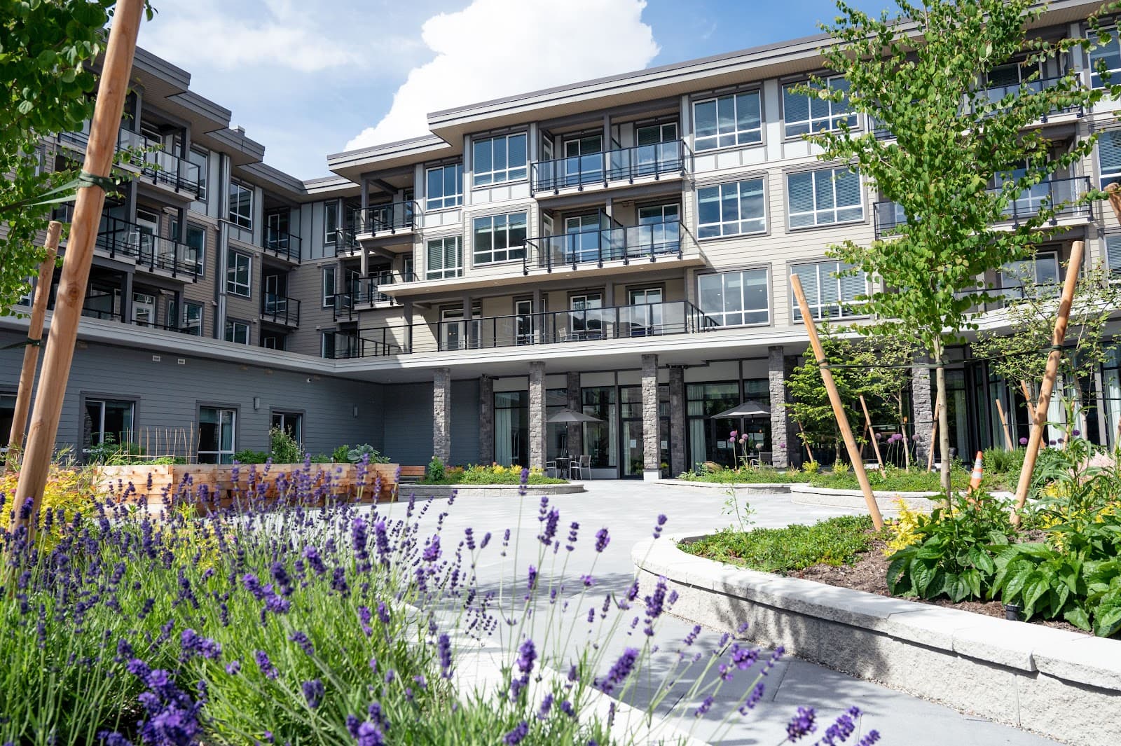 Hamilton High Street Residence photo 2