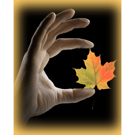 Hand Therapy Canada photo 2