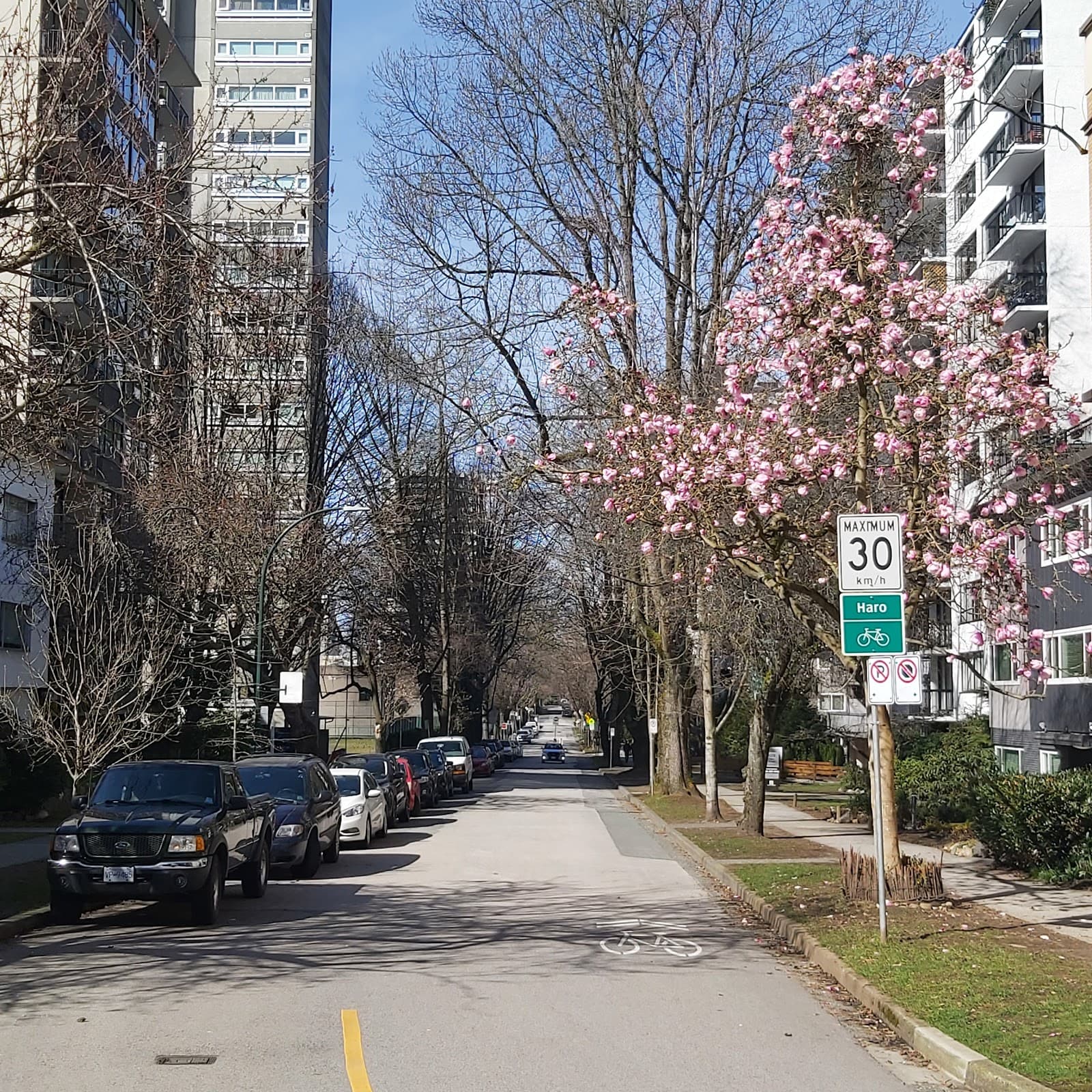 Haro Park Centre Society photo 1 of 4