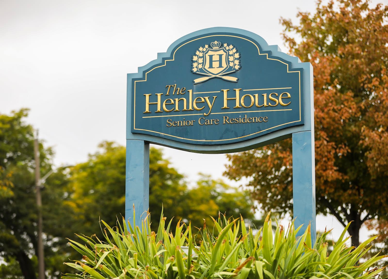 Henley House photo 3