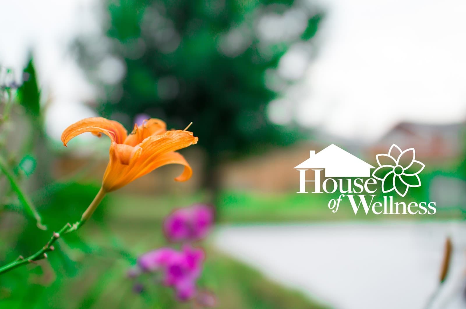 House of Wellness Assisted Living photo 1 of 4