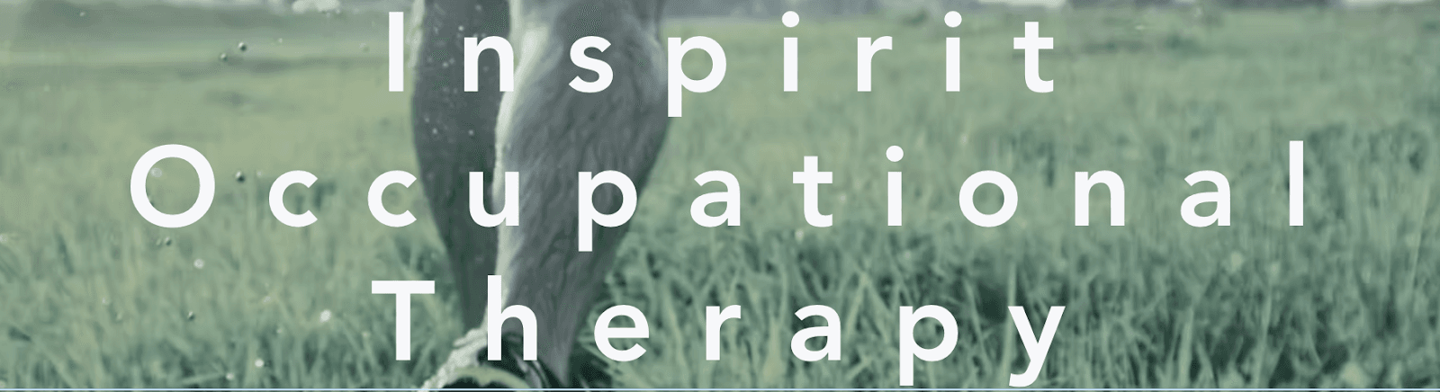 Inspirit Occupational Therapy photo 2