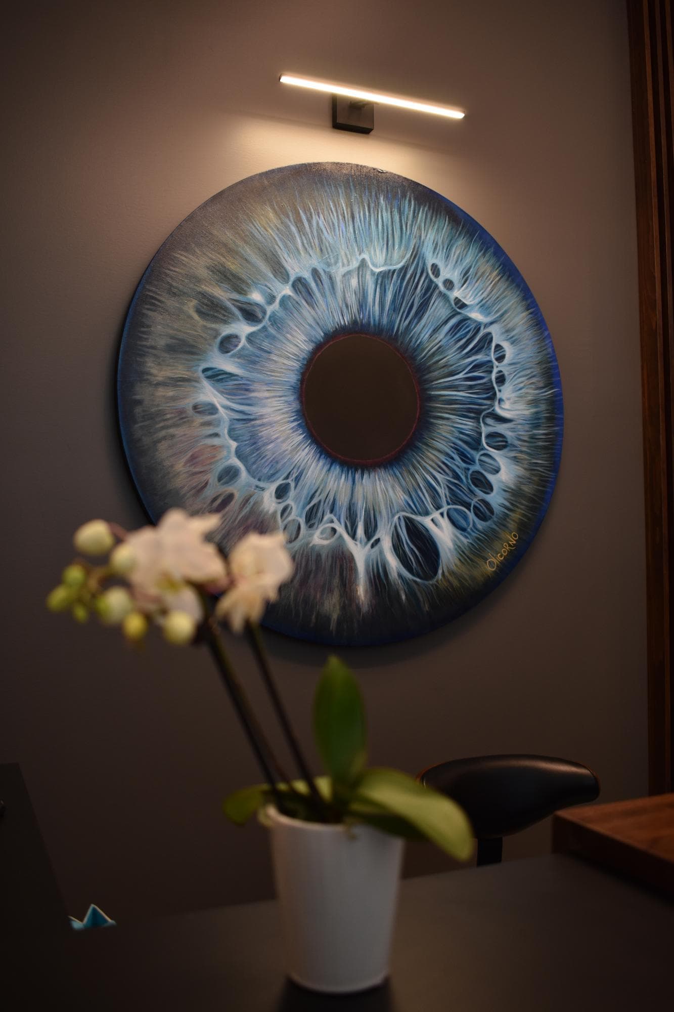 IRIS Optometrists and Opticians - Ottawa photo 5