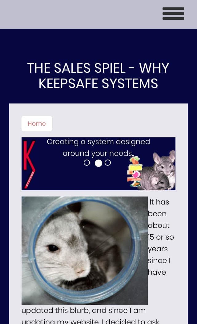 KeepSafe Systems photo 2